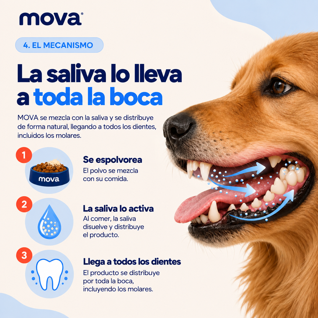 Polvo dental para perros