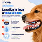 Polvo dental para perros