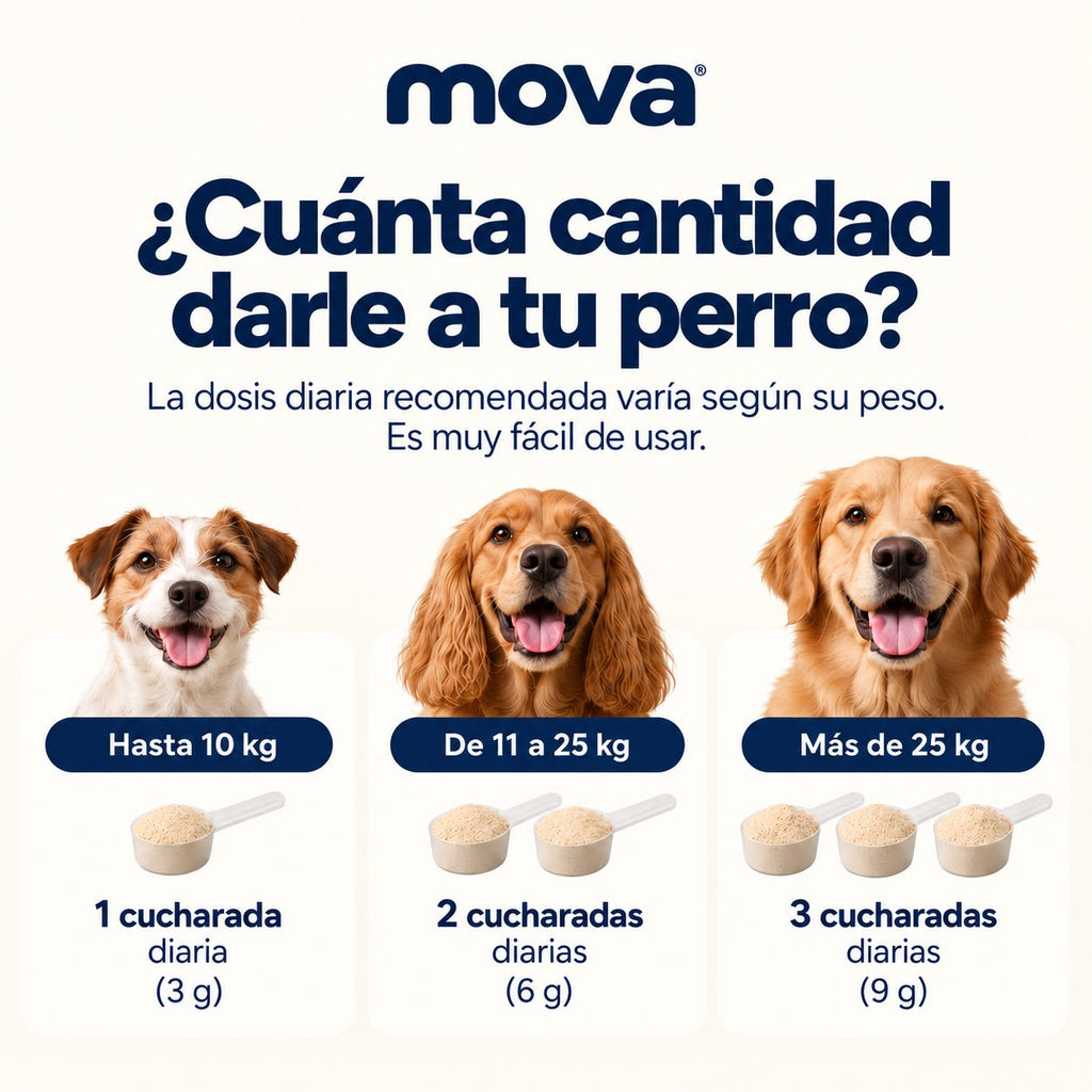 Polvo dental para perros