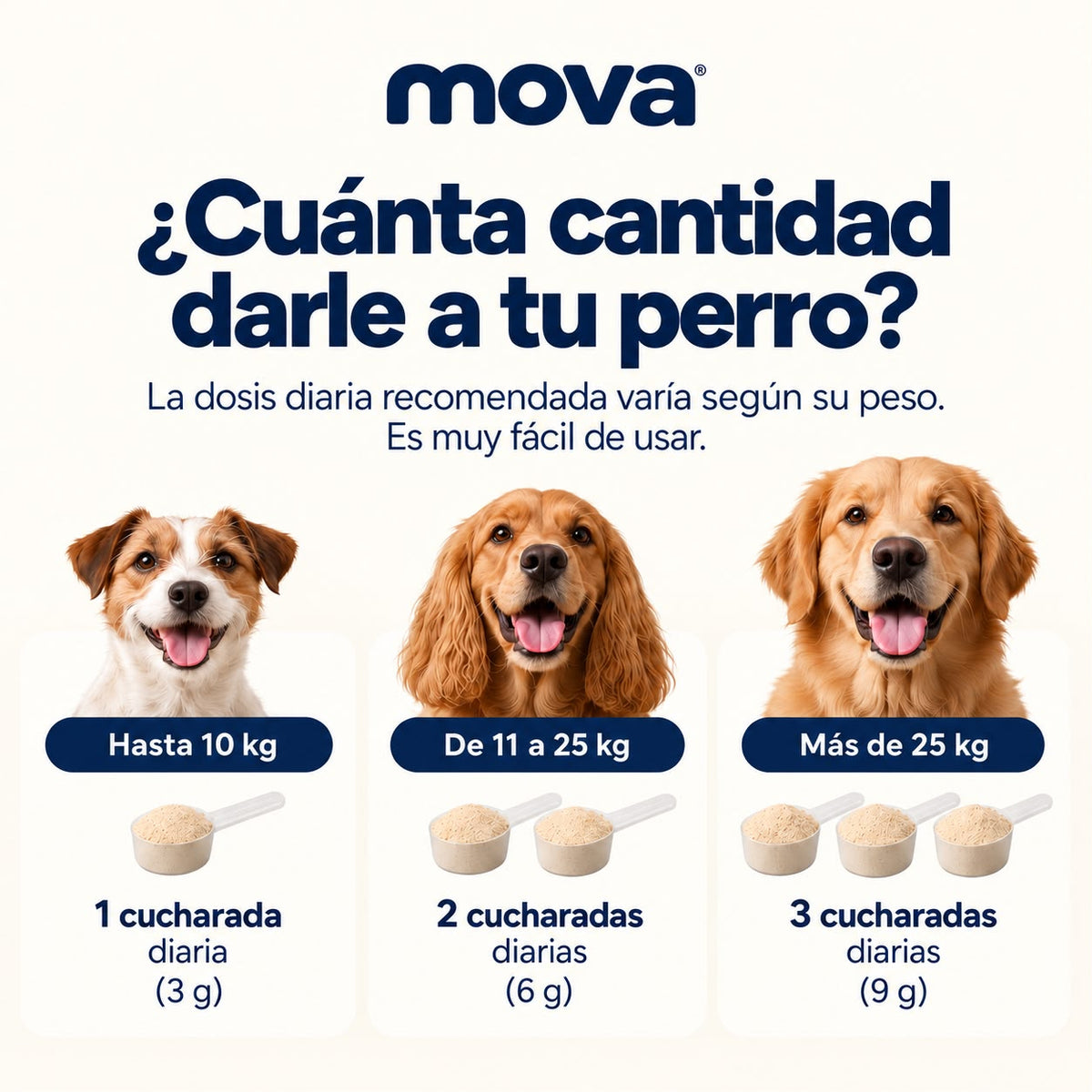 Polvo dental para perros
