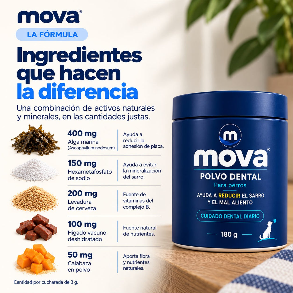 Polvo dental para perros