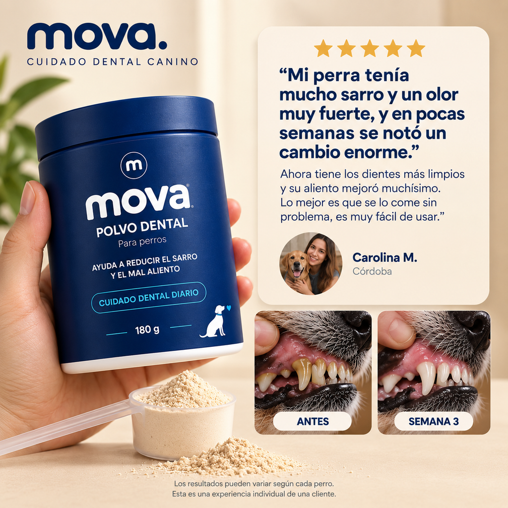 Polvo dental para perros
