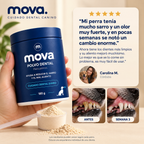 Polvo dental para perros