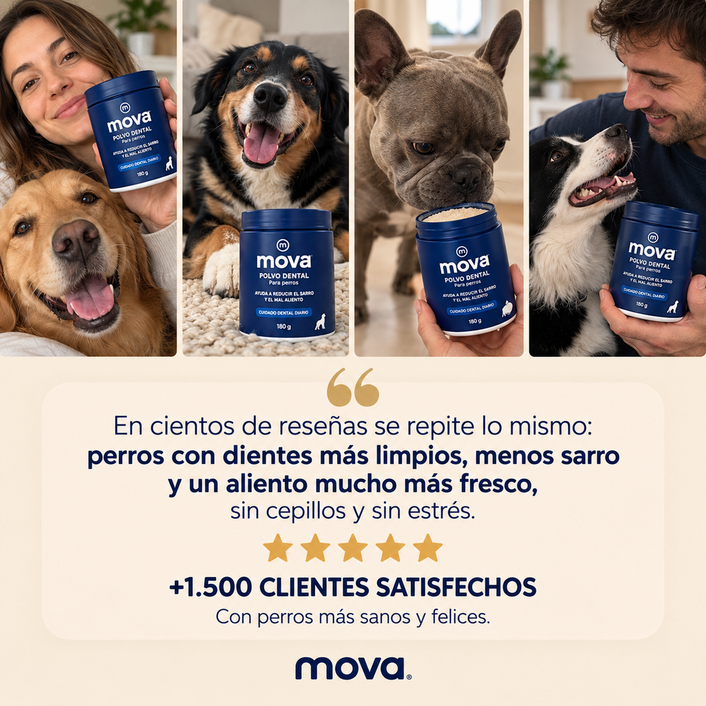 Polvo dental para perros
