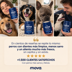 Polvo dental para perros