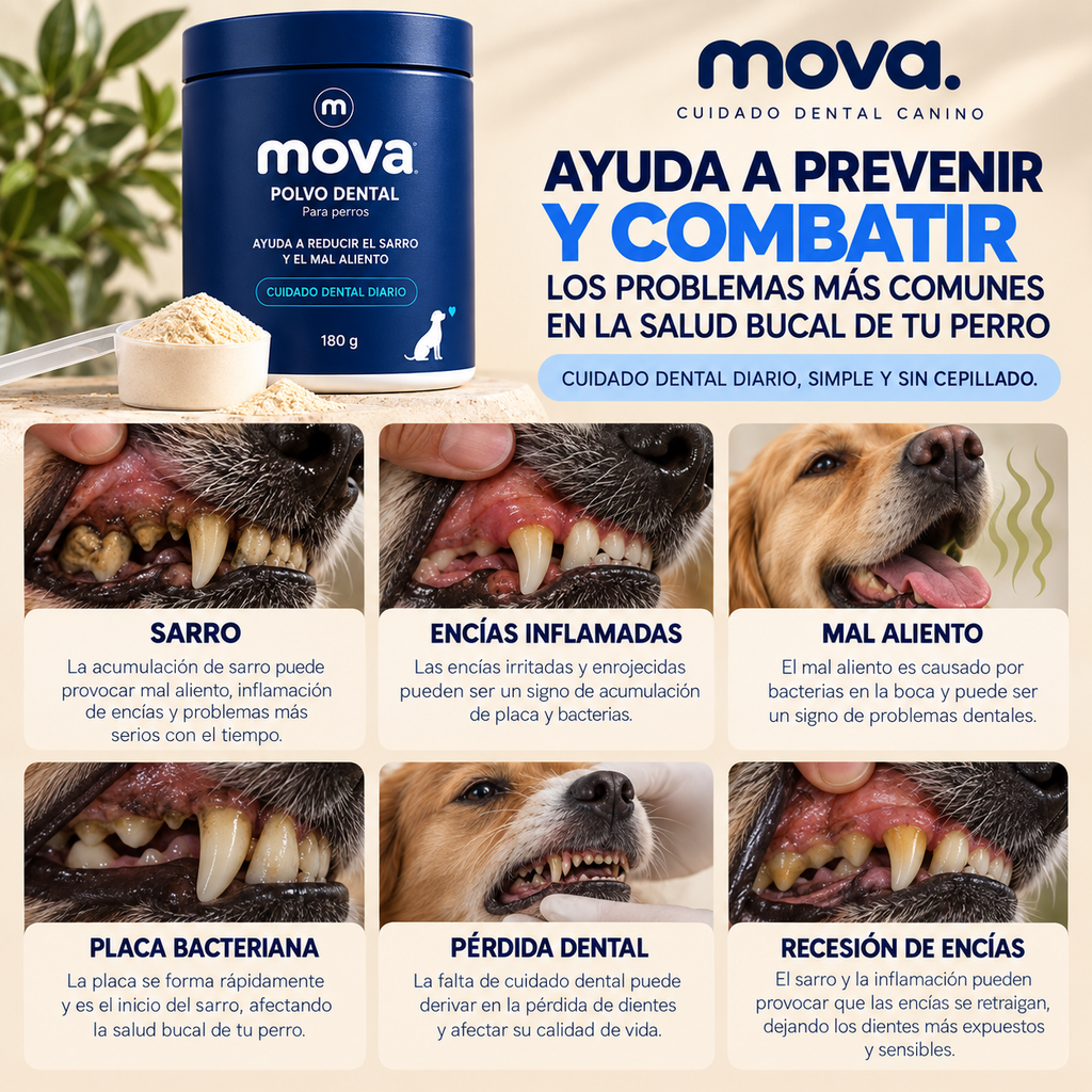 Polvo dental para perros
