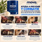 Polvo dental para perros