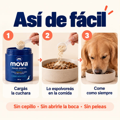 Polvo dental para perros